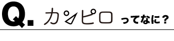 カンピロってなに？